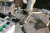 illitic_cigarette_production_europol.